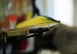 Fly Tying for Dorado