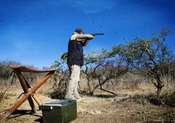 Dove Hunt